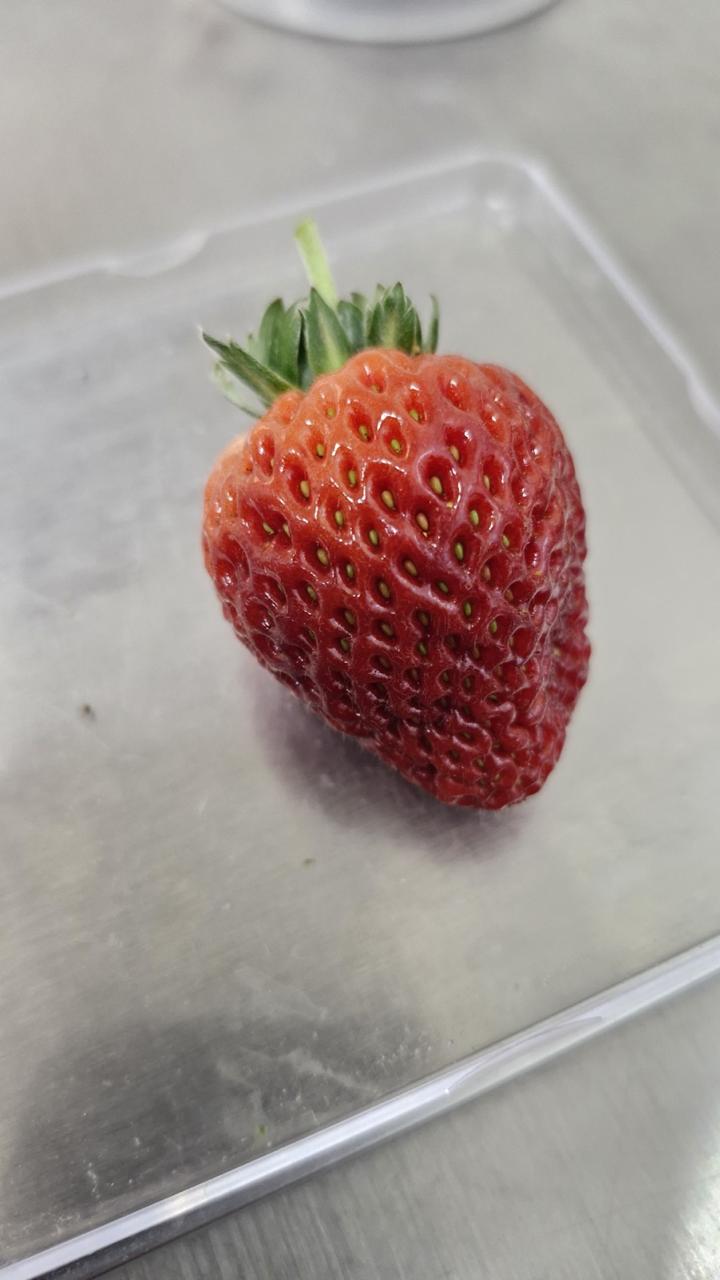 Imagen de galeria 12